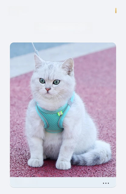 Cat Leash Cat Harness Cat Chest Harness Cat Walking Leash Vest Style Pet Chest Harness P-String Reflective Cute Cat