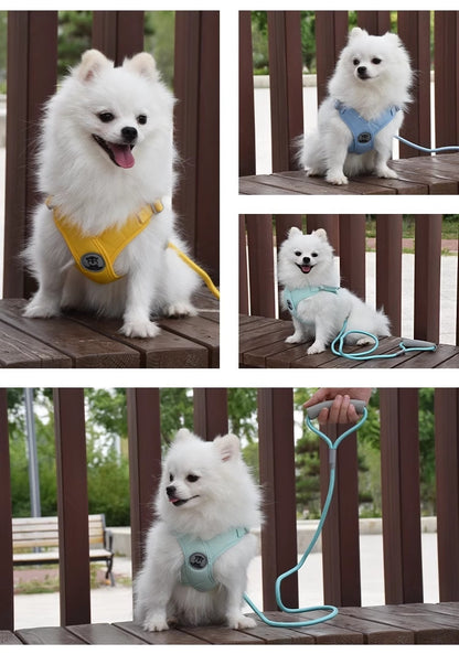 Dog Walking Vest Style Harness Leash for Small Medium Teddy Pomeranian Bichon