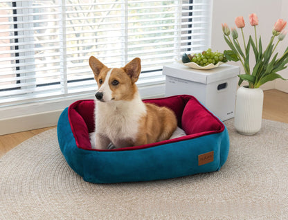 All Seasons Pet Bed, Detachable and Washable, Perfect for Cats and Dogs