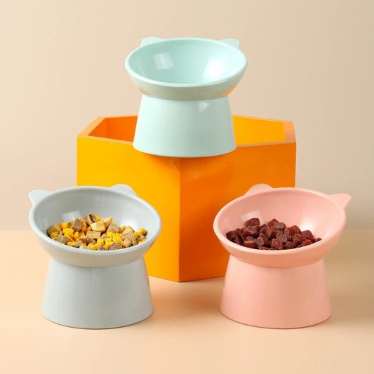 Pet Feeding Bowl Set with Elevated Stand for Cats and Dogs, Nordic Design