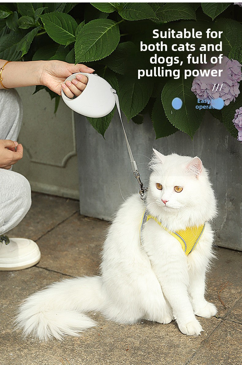 Automatic Retractable Dog Leash Heavy Duty Tangle Free Rope for Small Medium Dogs Walking Puppy Teddy Bichon Poodle Pet