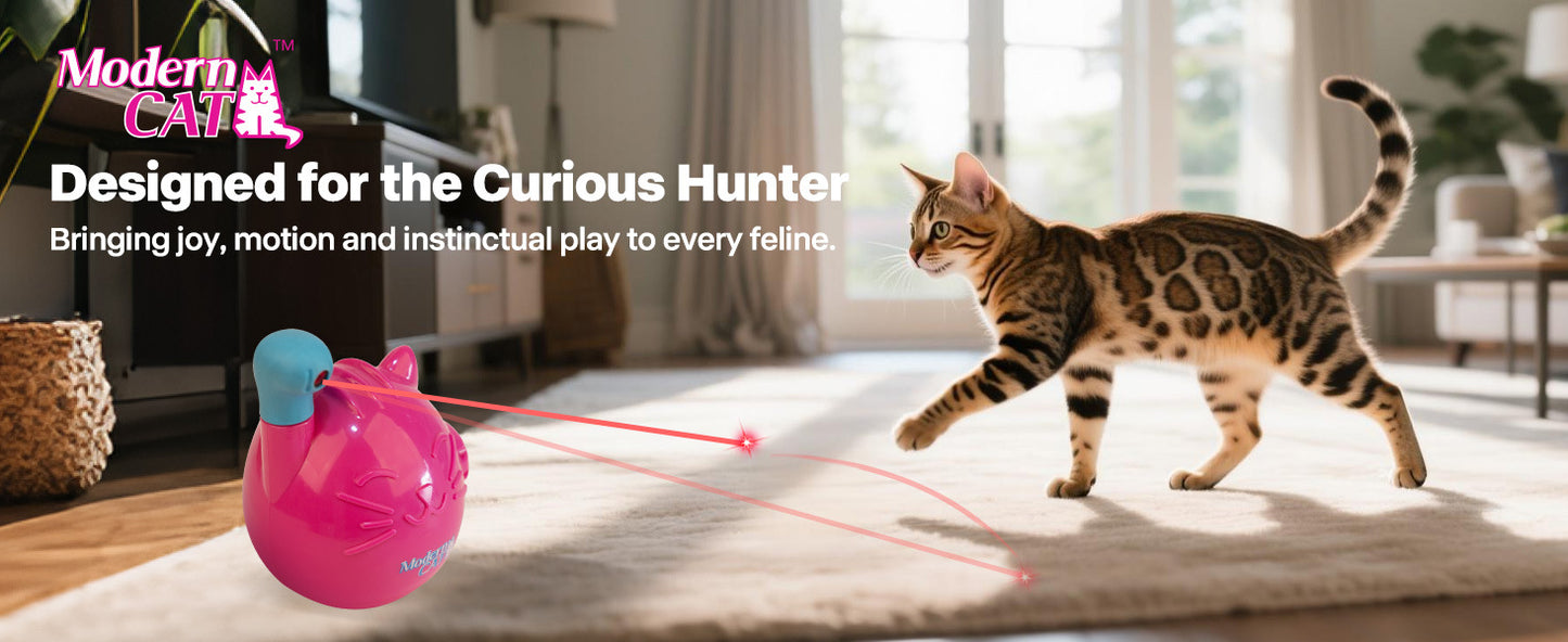 Pet Smart LED Infrared Auto Laser Cat Fun Teaser Toy