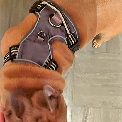 Pet Harness Explosion Proof Vest Style Dog Walking Leash Chain for All Sizes