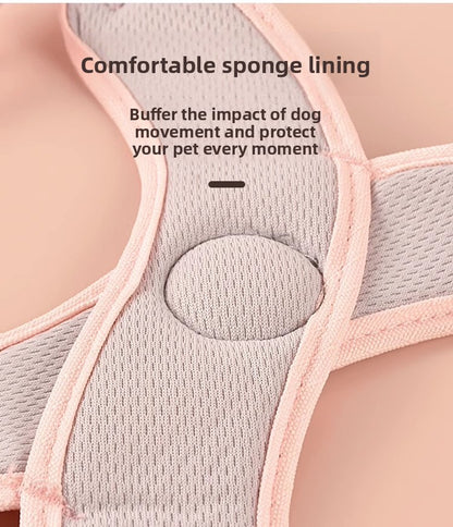 Dog Walking Vest Style Harness Leash for Small Medium Teddy Pomeranian Bichon