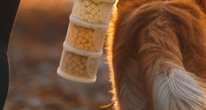 Portable Cat Snack Sealed Box Universal Pet Food Storage Moisture Proof Dispensing Canister