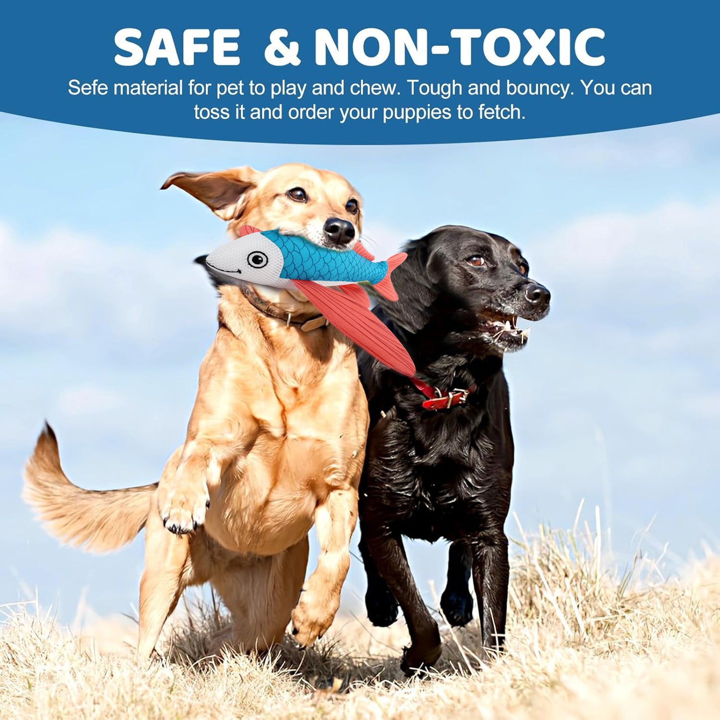 Summer Pet Dog Hydration Chew Toy with Water Absorbing Sponge for Teeth Grinding