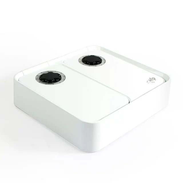 Intelligent 48h Timing Pet Feeder 300ml Double Bowl with Ice Pack for Cats Dogs