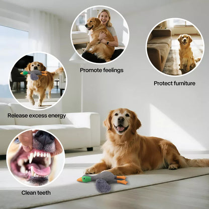 Fun Sound Latex Dog Chew Toy for Stress Relief Wild Duck Seagull Yellow Options