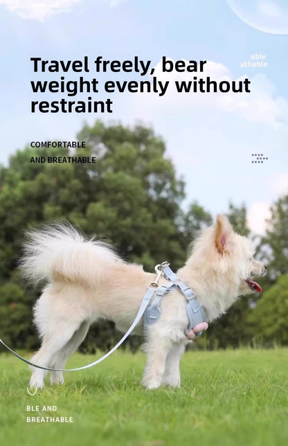 Small Dog Outdoor Walking Leash Vest Style Chest Harness for Teddy Bichon Pomeranian