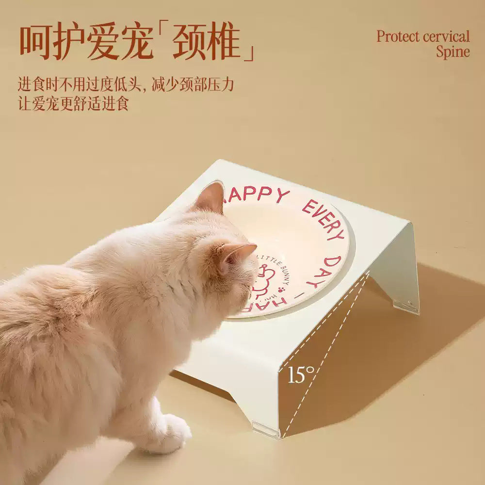 Ceramic Elevated Cat and Dog Food Bowl with Anti-Spill Design