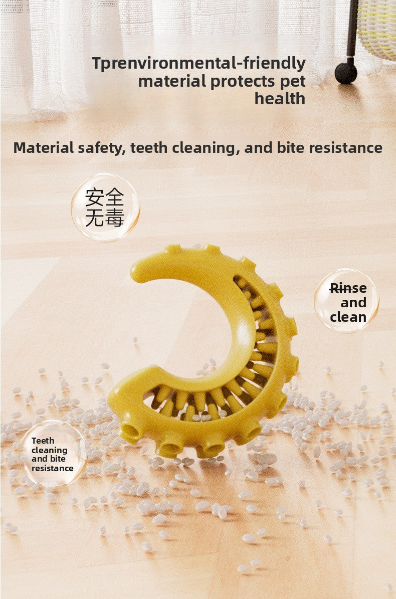 Rubber Spiked Bone Pet Toy New Design for Dog Teeth Grinding Chew Supplies