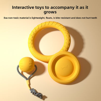 Dog Outdoor Training Energy-Consuming Safe Soft Rubber Interactive Pull Ring Toy