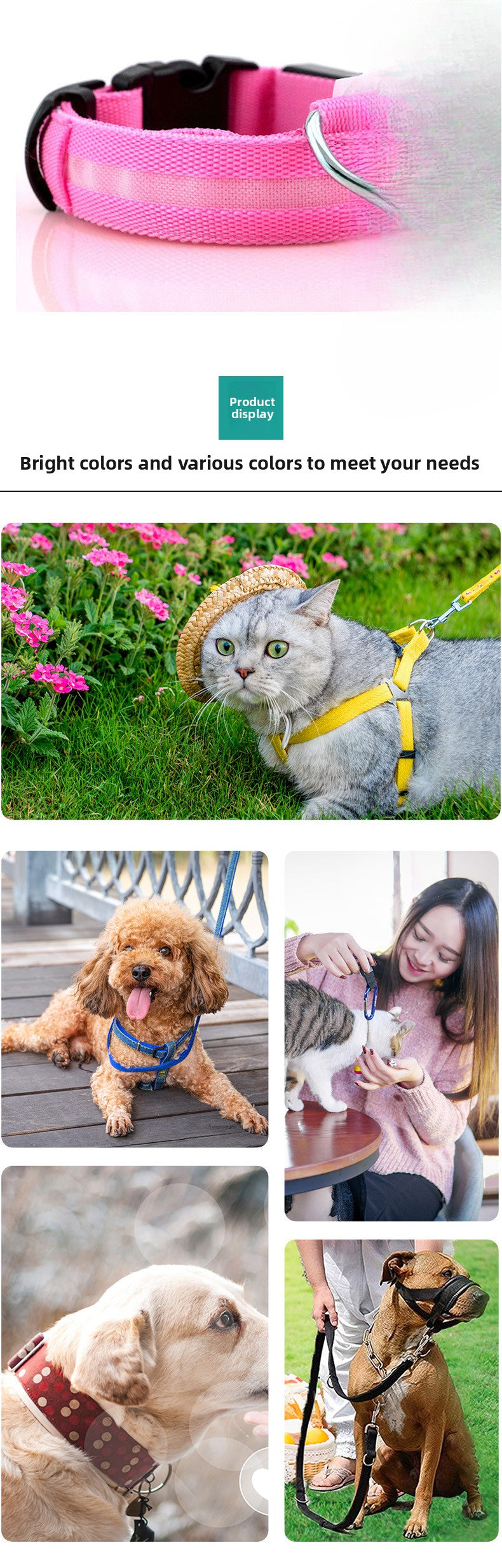 LED Dog Collar Glowing Light Up Pet Collar with Mesh Belt Adjustable Reflective Safety Collar for Large Medium Small Dogs