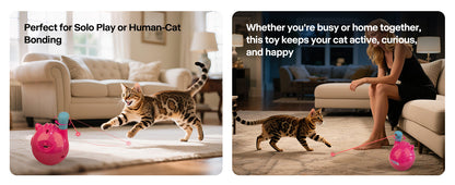 Pet Smart LED Infrared Auto Laser Cat Fun Teaser Toy