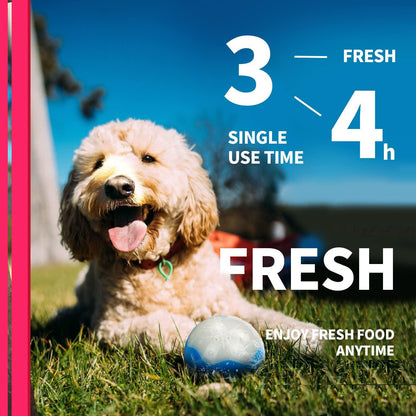 Dog Summer Refreshing Ice Ball Bone Soft Gel Chew Toy