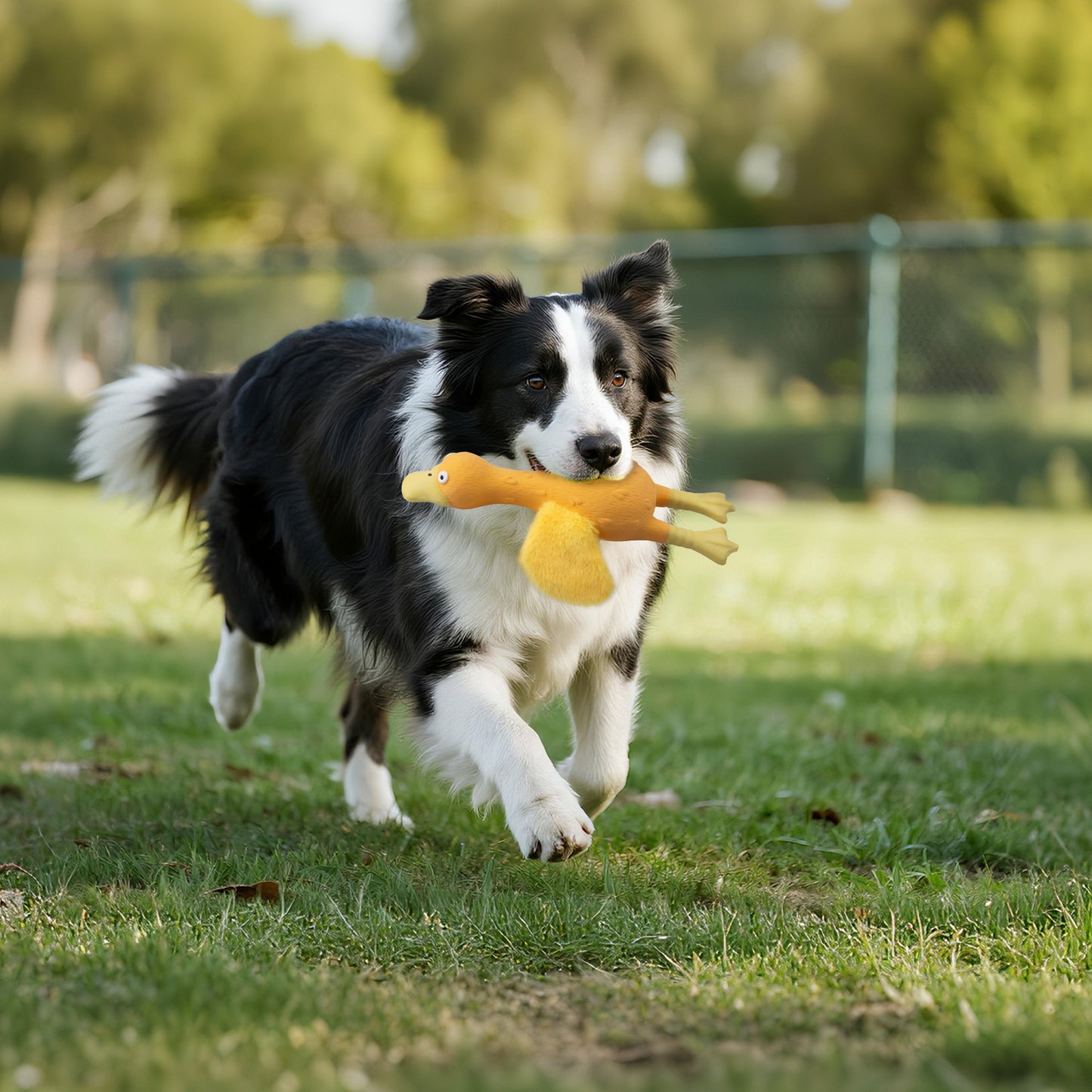 Outdoor Plush Wings Dog Squeaky Chew Toy with Sound for Training