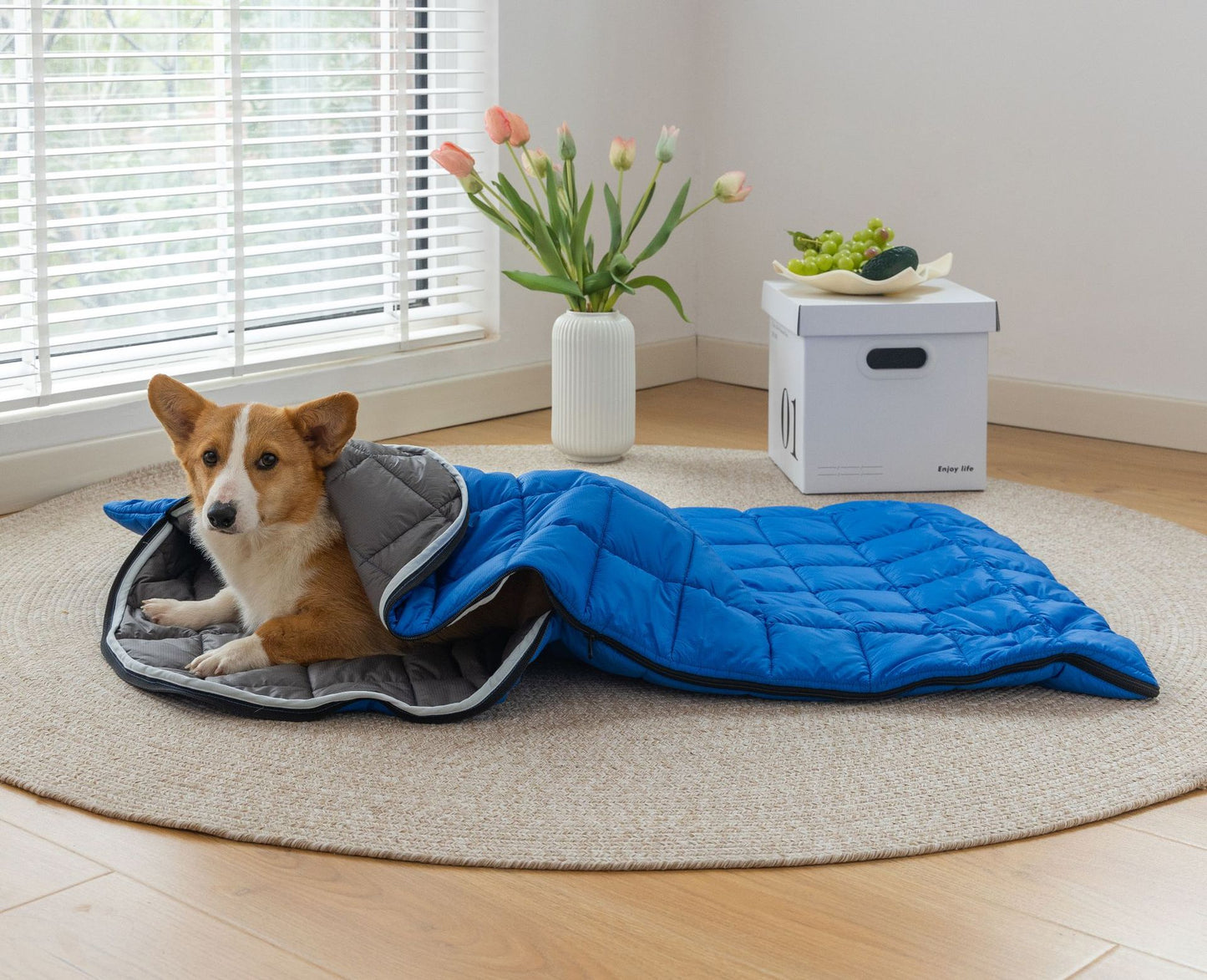 Pet customized outdoor sleeping bag