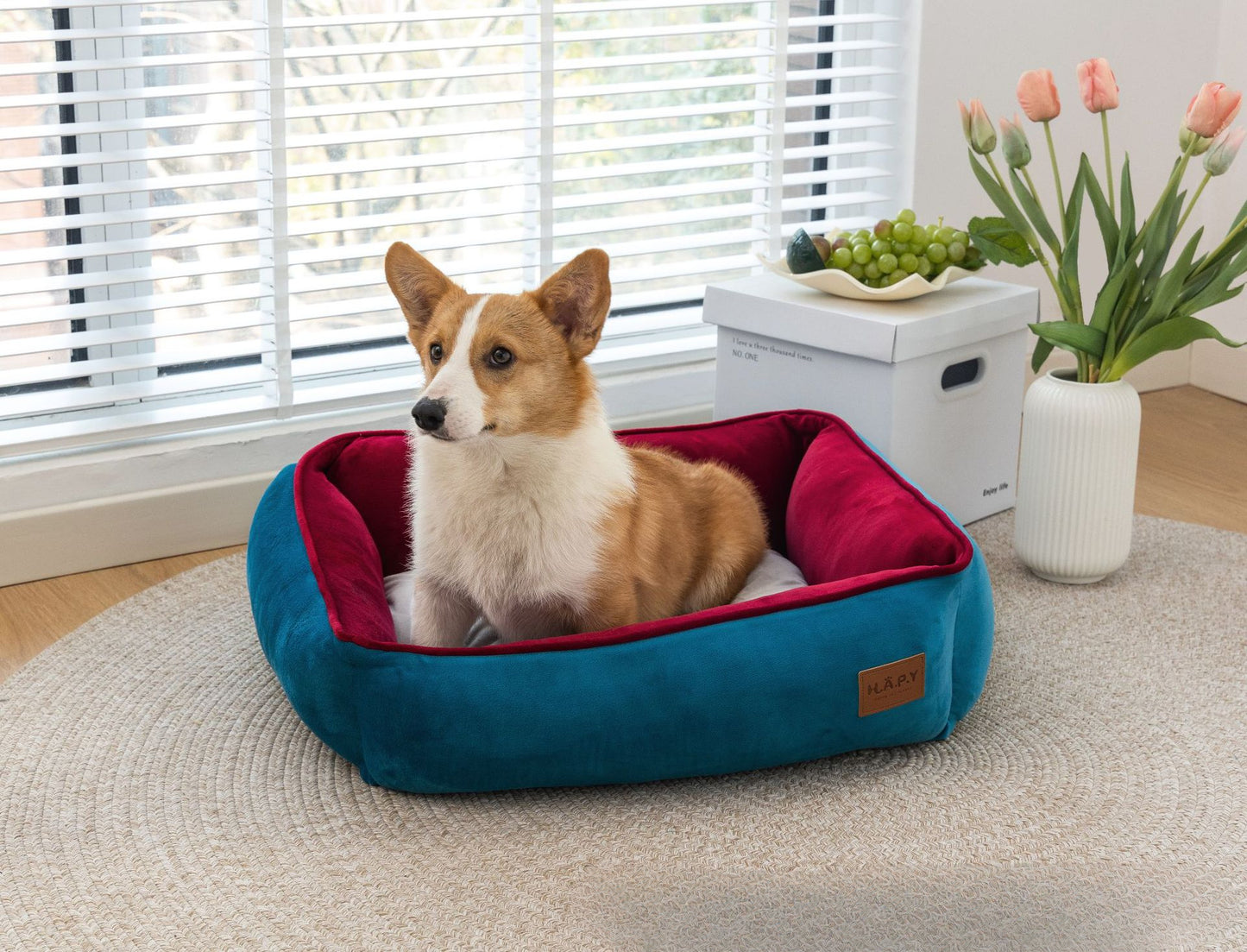 All Seasons Pet Bed, Detachable and Washable, Perfect for Cats and Dogs