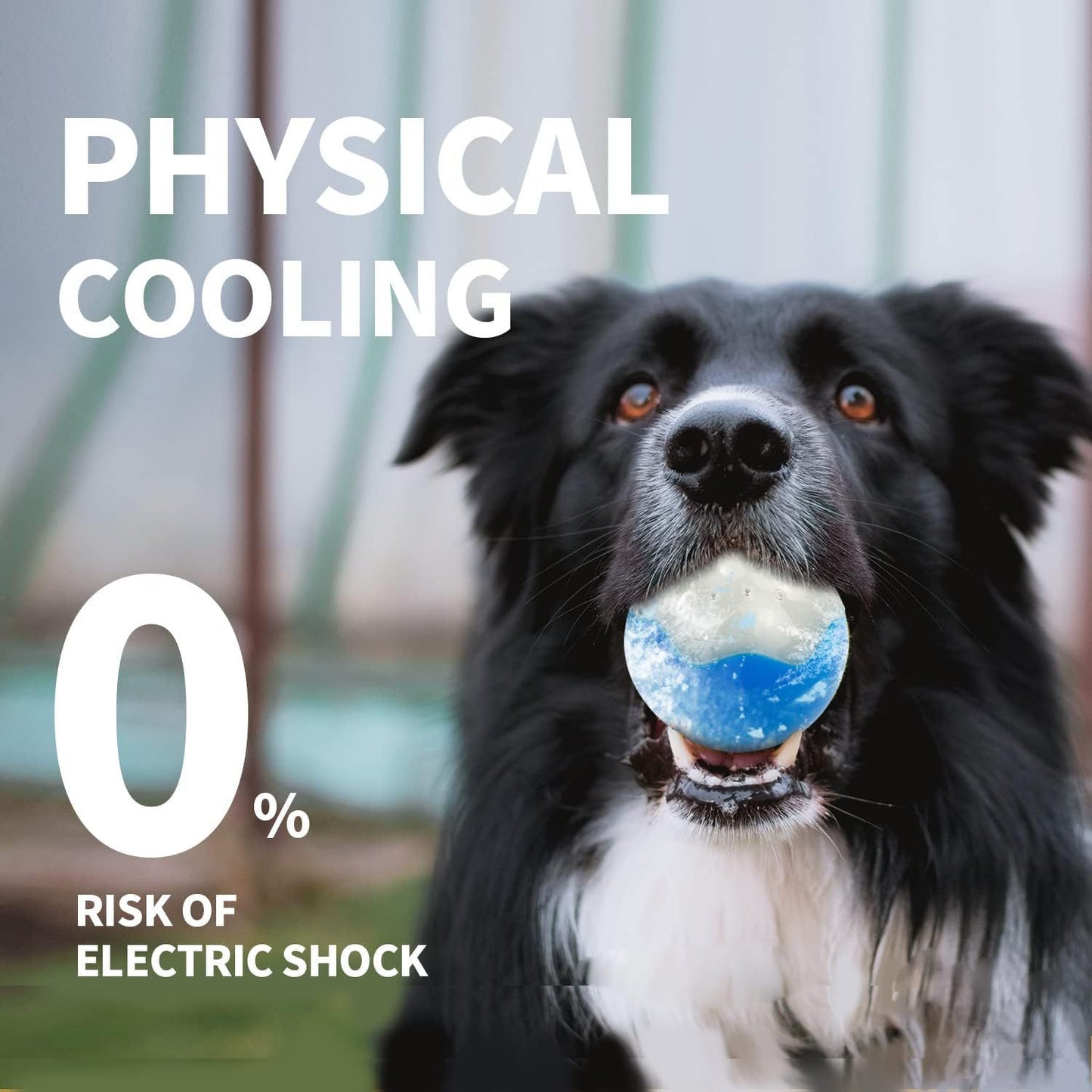 Dog Summer Refreshing Ice Ball Bone Soft Gel Chew Toy