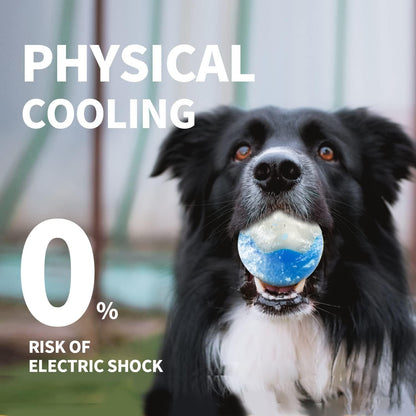 Dog Summer Refreshing Ice Ball Bone Soft Gel Chew Toy