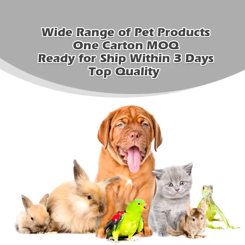 Halloween Pet Toy Collection Dog Chew Cat Stick Mat