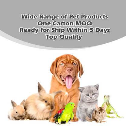 Halloween Pet Toy Collection Dog Chew Cat Stick Mat