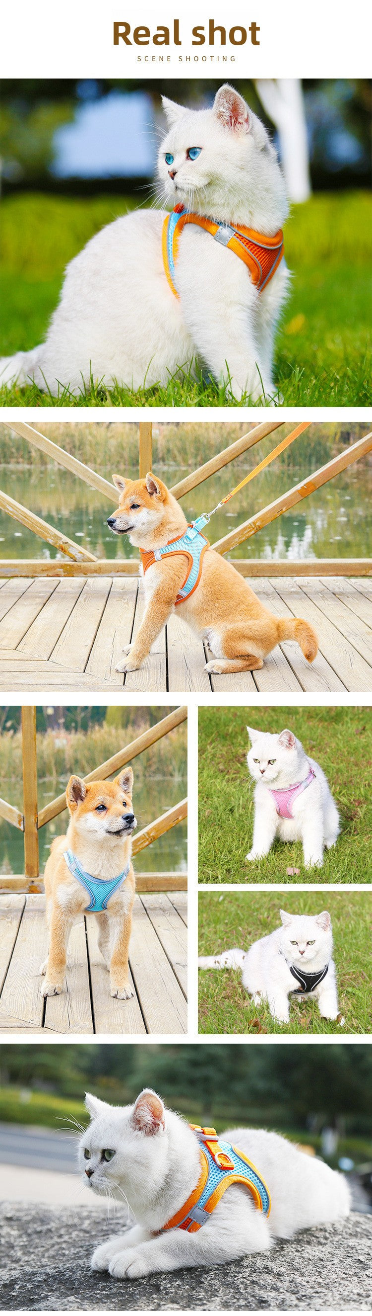 New Pet Vest-Style Pet Harness Reflective Breathable Cat Dog Leash Walking Leash Dropshipping