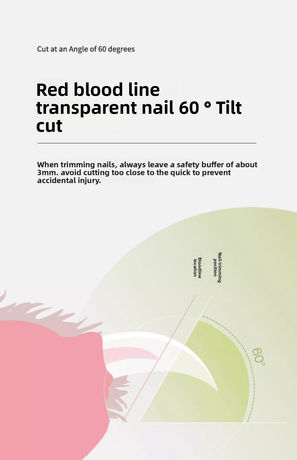 Pet Nail Clippers Cat Nail Clippers with Light Nail Cutter Rabbit Dog Cat Claw Special Beginner Pet Nail Clippers