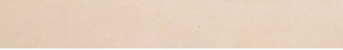 Home Use Pet Cat Dog Summer Cooling Mat Universal Soft Ice Cushion for Neck Safety