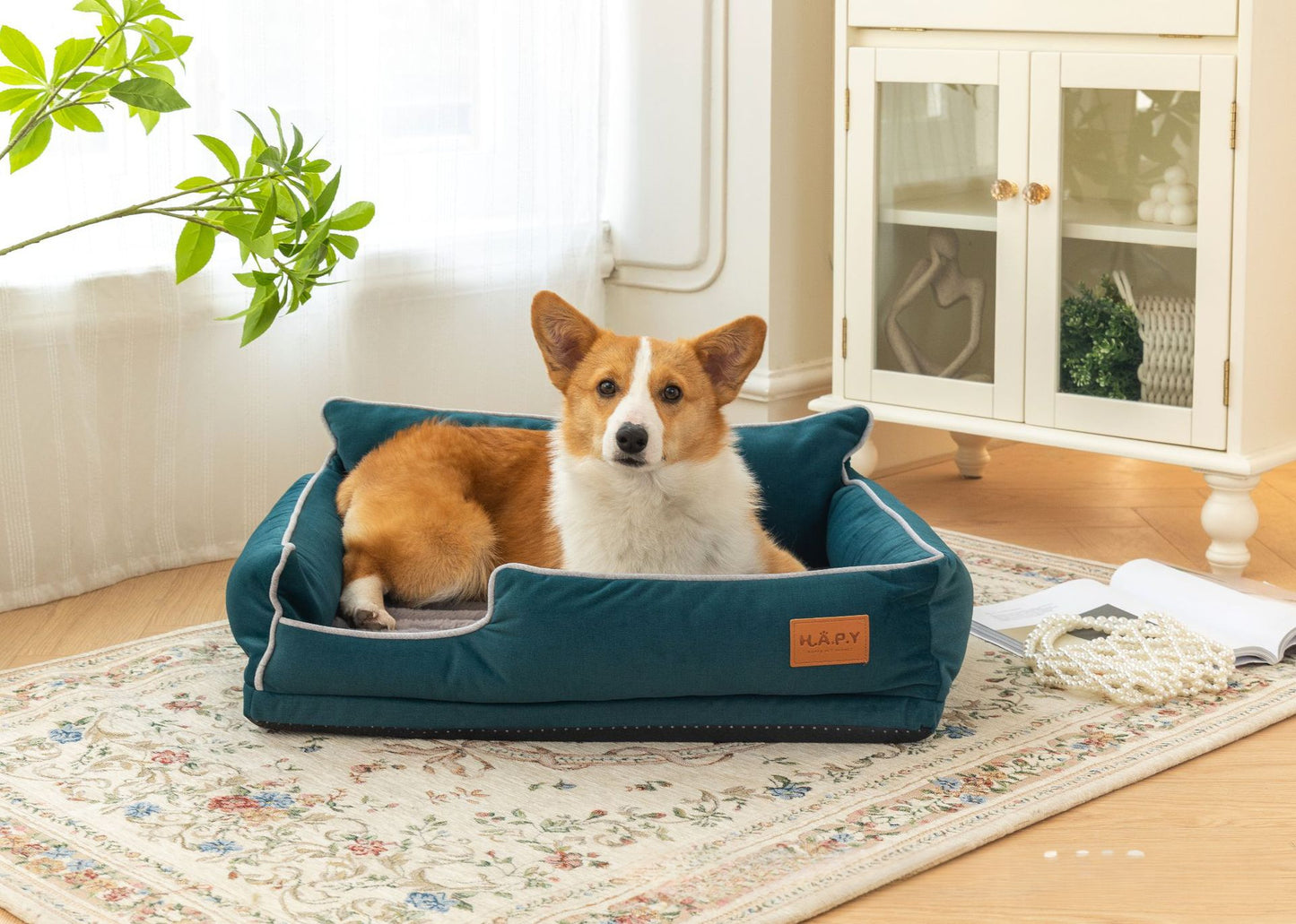 All Seasons Pet Bed, Detachable and Washable, Perfect for Cats and Dogs