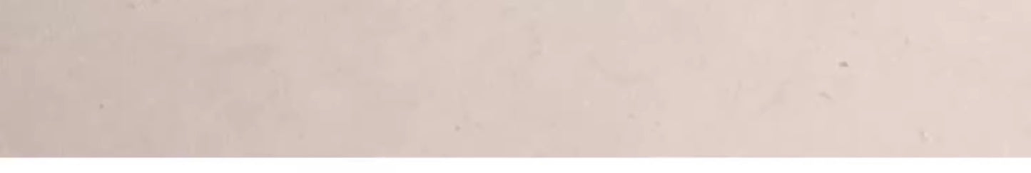 Summer Special Pet Cooling Pad Oval Track Thick Dog Bed Pet Essentials