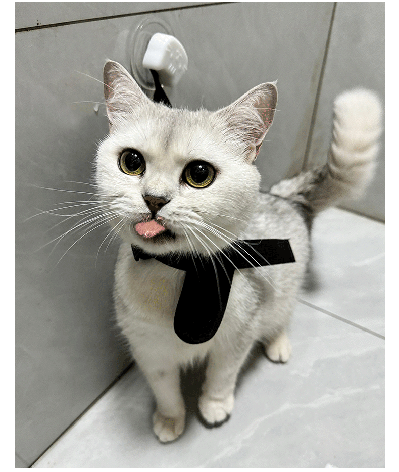 Professional Cat Bathing Restraint System Adjustable Grooming Strap with Strong Suction Cups Anti Movement Safe Cleaning Tool for Cats and Small Dogs