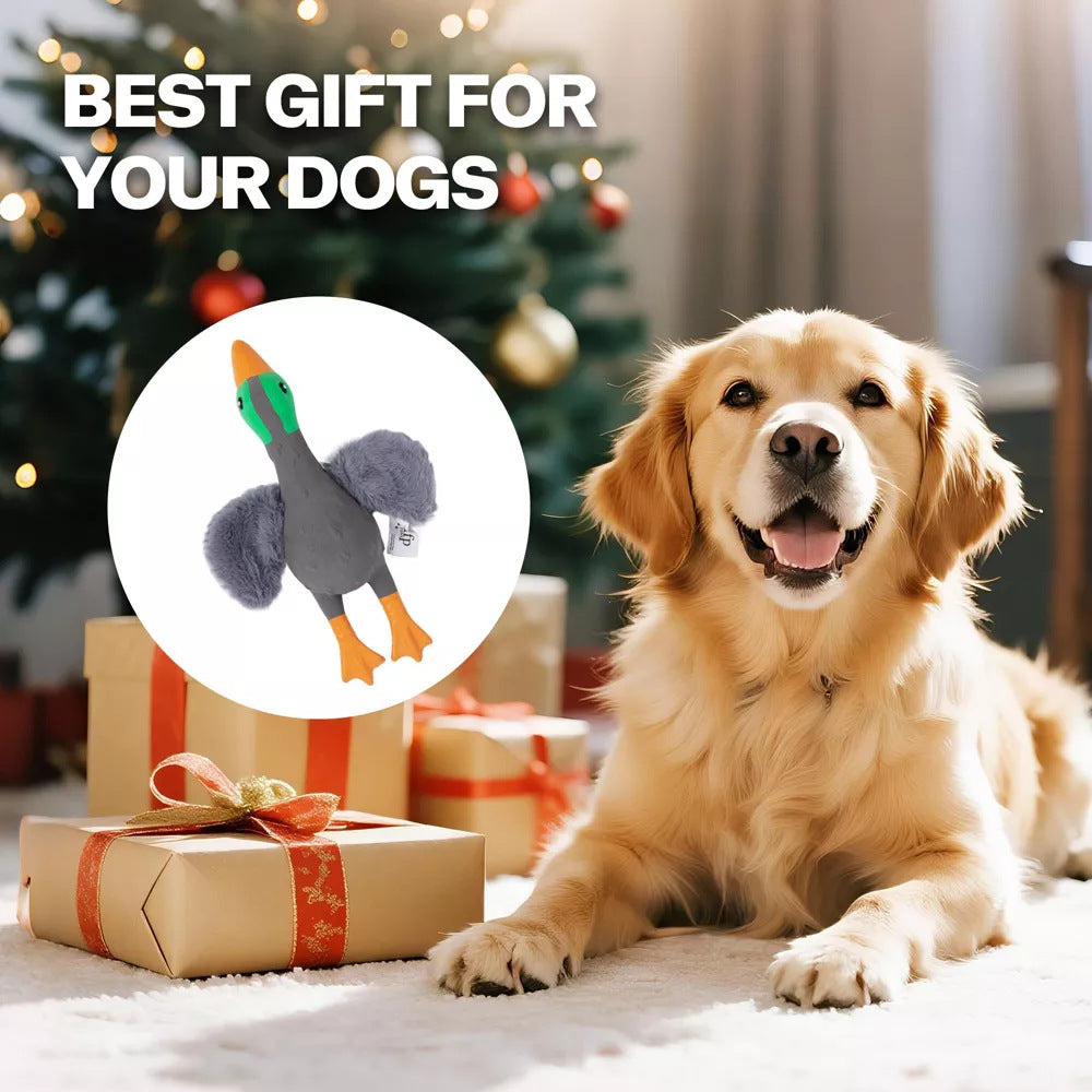 Fun Sound Latex Dog Chew Toy for Stress Relief Wild Duck Seagull Yellow Options