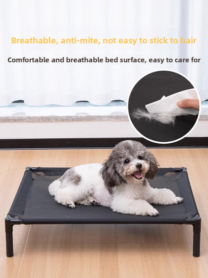 Electric Pet Running Car Feather Teaser Cat Toy for Independent Play