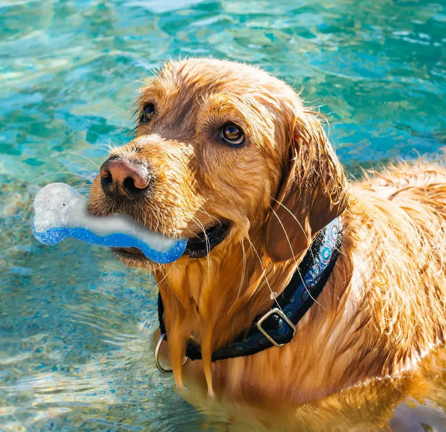 Dog Summer Refreshing Ice Ball Bone Soft Gel Chew Toy