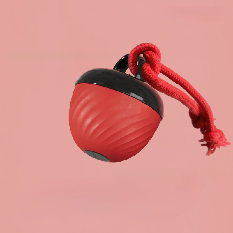 Interactive Self Entertainment Dog Ball Toy with Sound Boredom Relief for Dogs and Cats Fun Pet Supplies for Playtime and Exercise