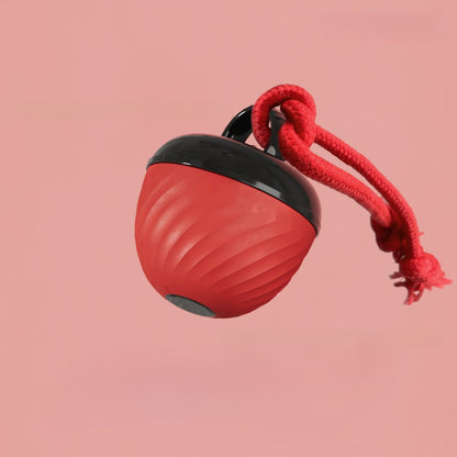 Interactive Self Entertainment Dog Ball Toy with Sound Boredom Relief for Dogs and Cats Fun Pet Supplies for Playtime and Exercise