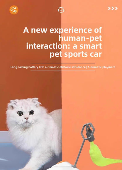 Electric Pet Running Car Feather Teaser Cat Toy for Independent Play