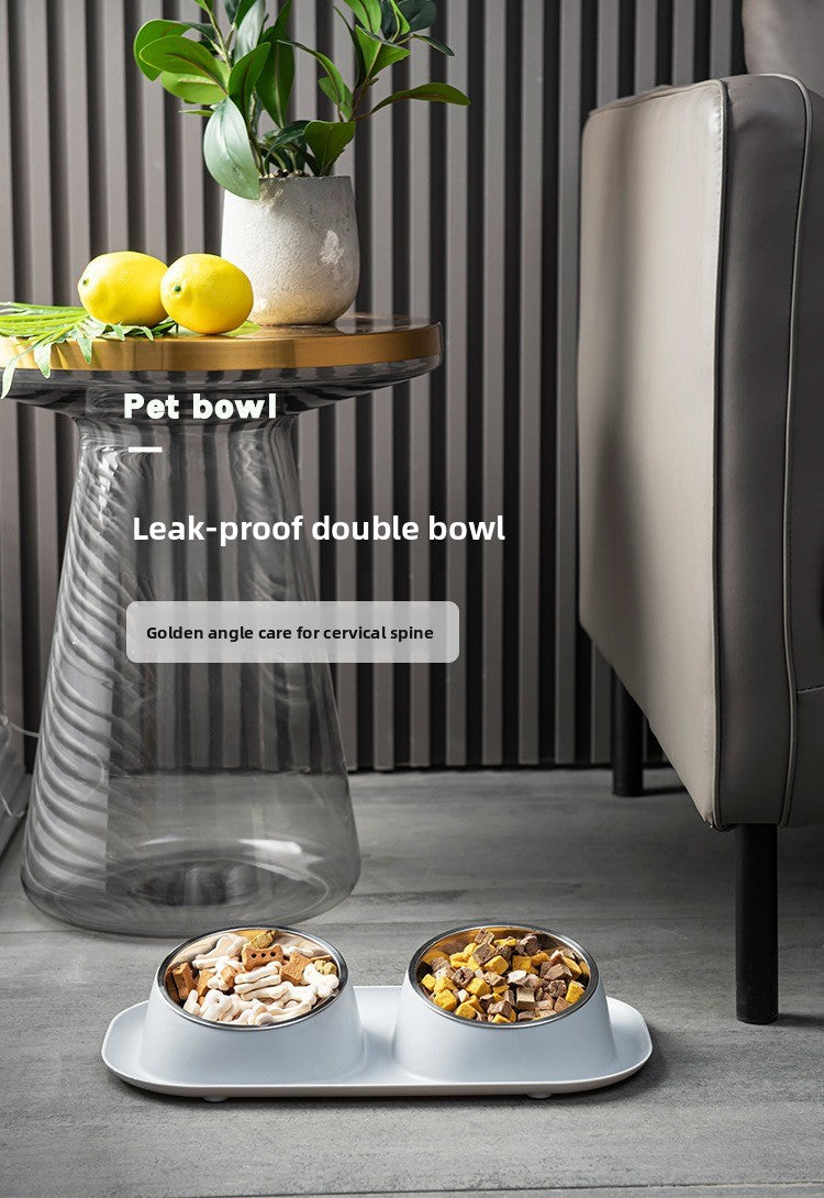Double Bowl Stainless Steel Pet Bowl with Neck Protection for Cats Dogs