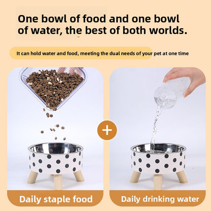 Elevated Anti Spill Cat Bowl Stainless Steel Pet Food and Water Dish with High Stand for Dogs Cats Non Slip Large Capacity Feeding Station