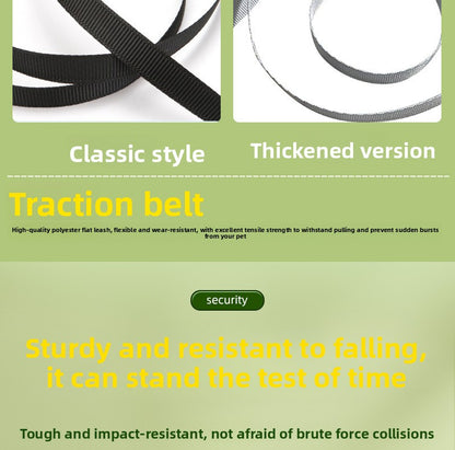 Pumpkin 5M Auto Retractable Explosion Proof Dog Leash for Small Medium Dog Walking