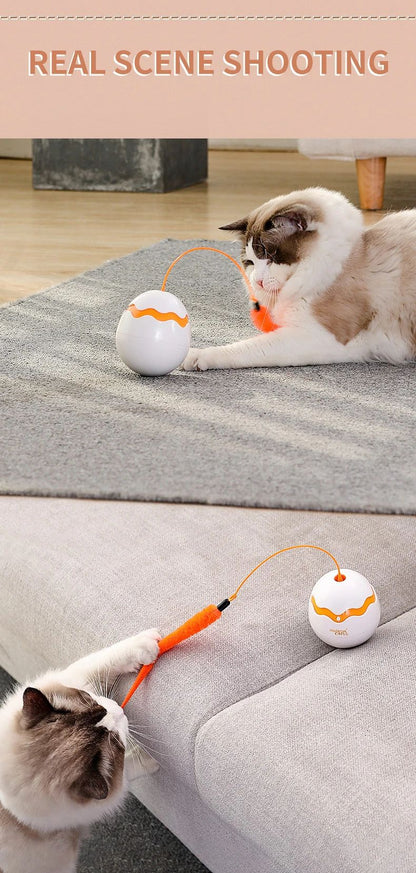 360 Degree Irregular Spin Cat Teaser Dinosaur Egg Toy