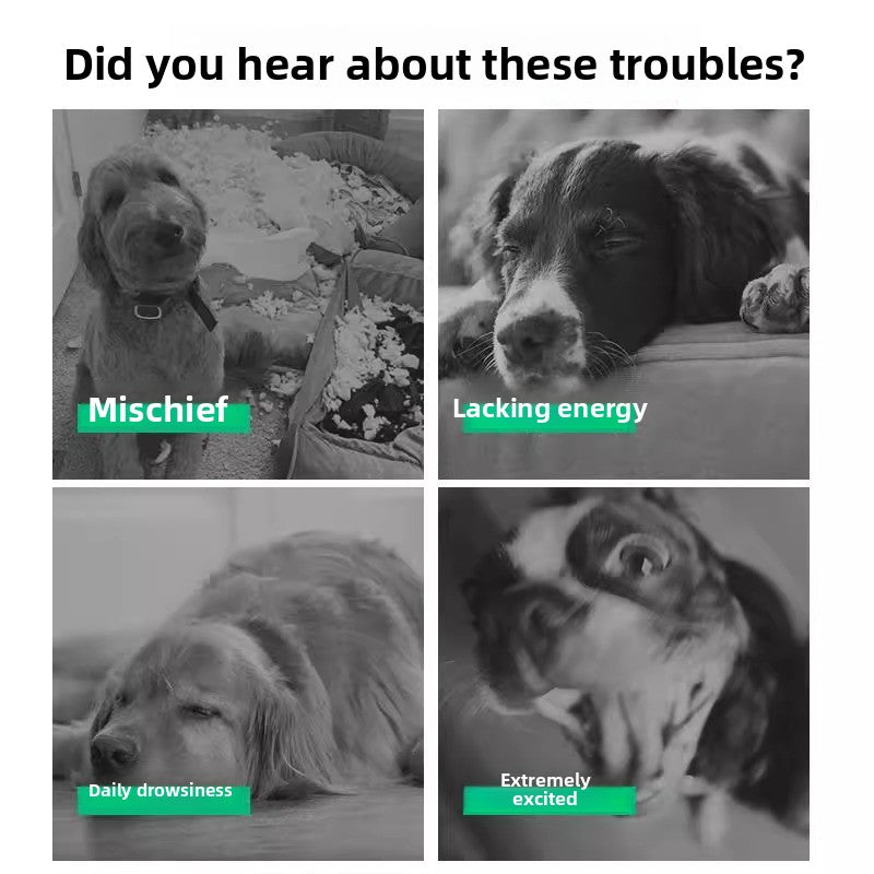 Durable Puppy Chew Football Interactive Toy for Small Large Corgi Dogs