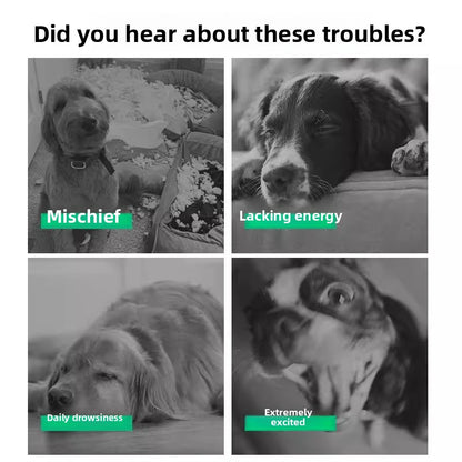 Durable Puppy Chew Football Interactive Toy for Small Large Corgi Dogs