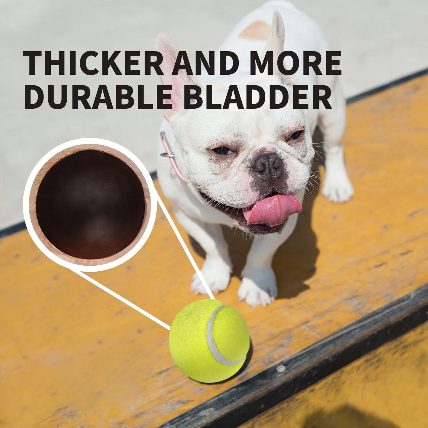 Large Dog Automatic Ball Launcher 6.5cm Tennis Ball Machine Pet Indoor Outdoor Training Tool