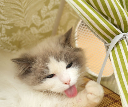 Cat Tent Summer Cat House Pet Warm Dog House Tent Washable Closed Type Internet Celebrity Cat All Seasons