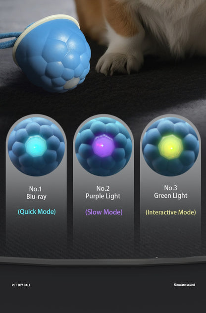 Interactive Self Entertainment Dog Ball Toy with Sound Boredom Relief for Dogs and Cats Fun Pet Supplies for Playtime and Exercise