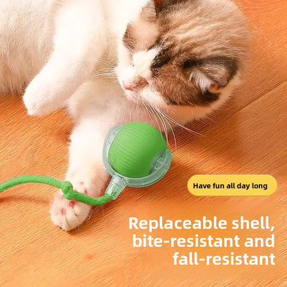 Rechargeable Automatic Cat Toy Ball with Variable Speed Smart Motion for Cats Interactive Self Play Pet Entertainment Teaser Ball