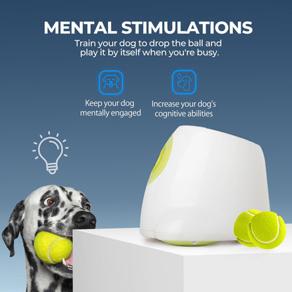 Large Dog Automatic Ball Launcher 6.5cm Tennis Ball Machine Pet Indoor Outdoor Training Tool