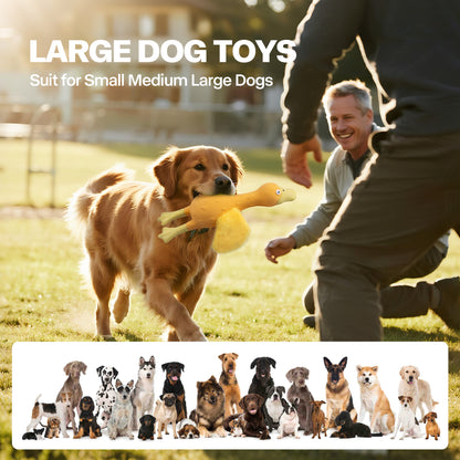 Outdoor Plush Wings Dog Squeaky Chew Toy with Sound for Training